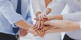 Naos Managment Team